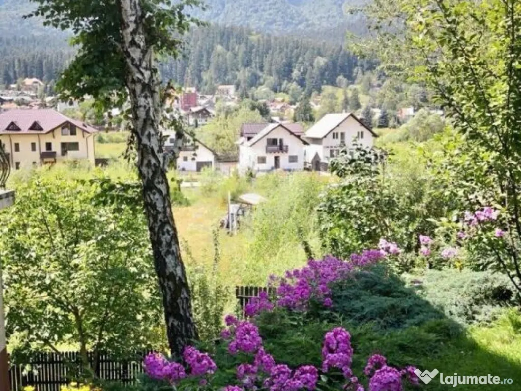 VILA CARTIER ZAMORA//BUSTENI 