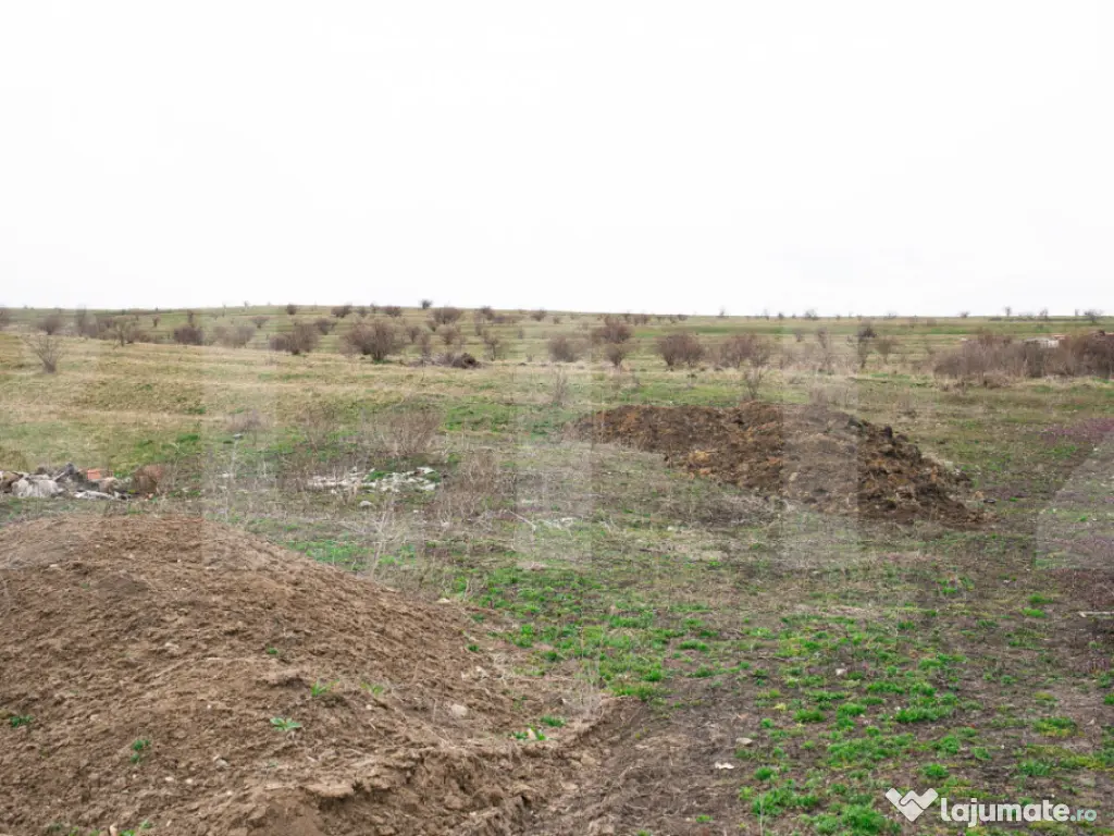 Teren 5800 mp în Câmpenești – cadru natural deosebit, i 