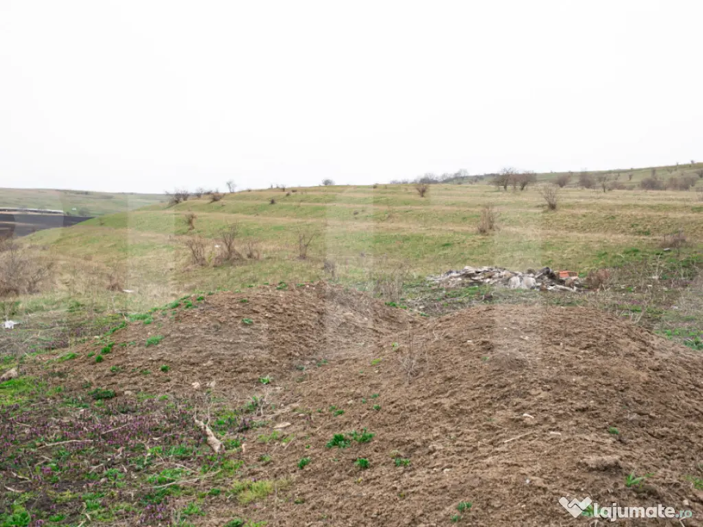 Teren 5800 mp în Câmpenești – cadru natural deosebit, i 