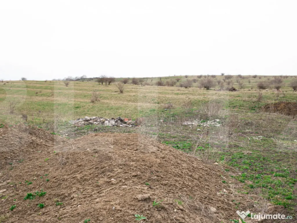 Teren 5800 mp în Câmpenești – cadru natural deosebit, i 