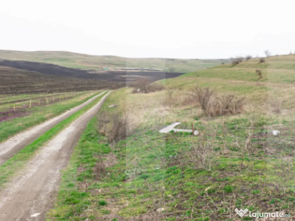 Teren 5800 mp în Câmpenești – cadru natural deosebit, i 