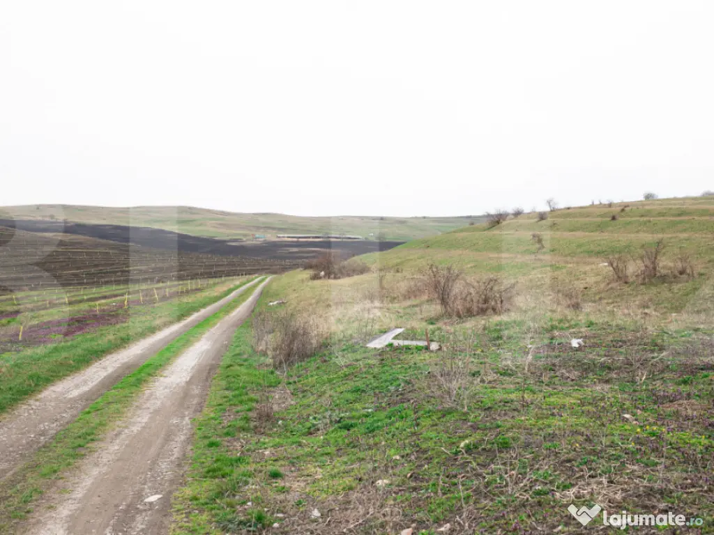 Teren 5800 mp în Câmpenești – cadru natural deosebit, i 