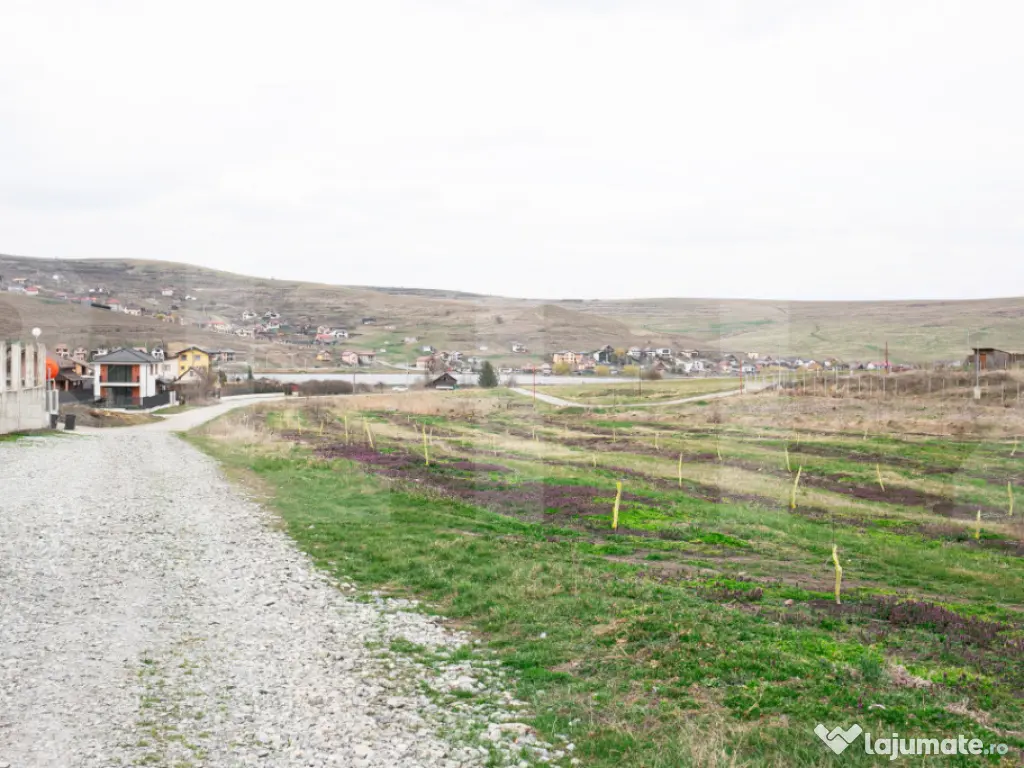 Teren 5800 mp în Câmpenești – cadru natural deosebit, i 