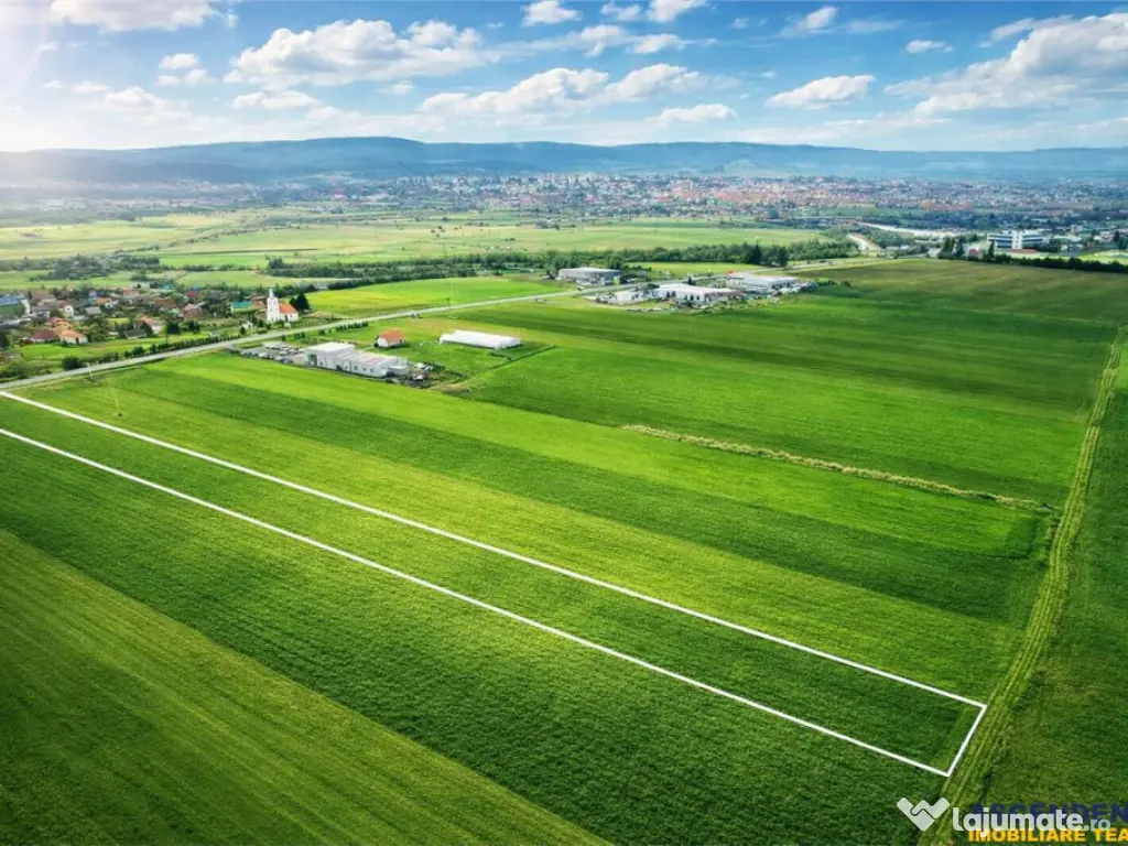 FILM! Teren intravilan 7.850 mp, Chilieni, Sfantu Gheorghe 