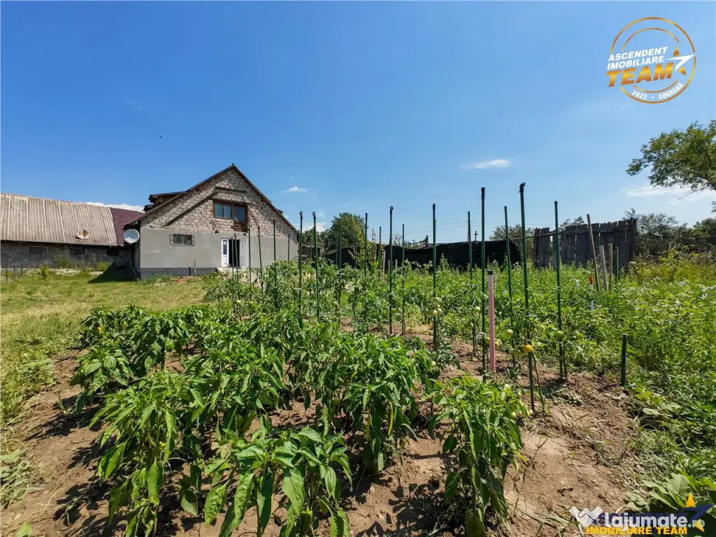 FILM! Rezidential Spatiu comercial consacrat teren intrav 