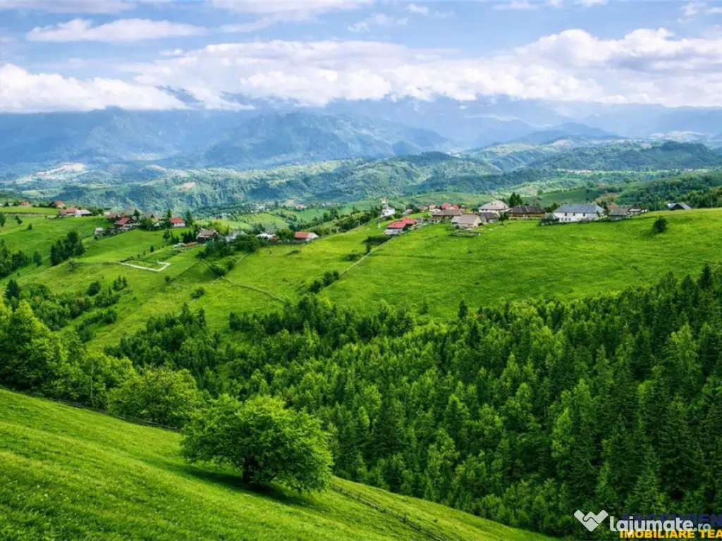 7.000 mp, pozitie spectaculoasa, fara vecini, Fundatica, Bra 