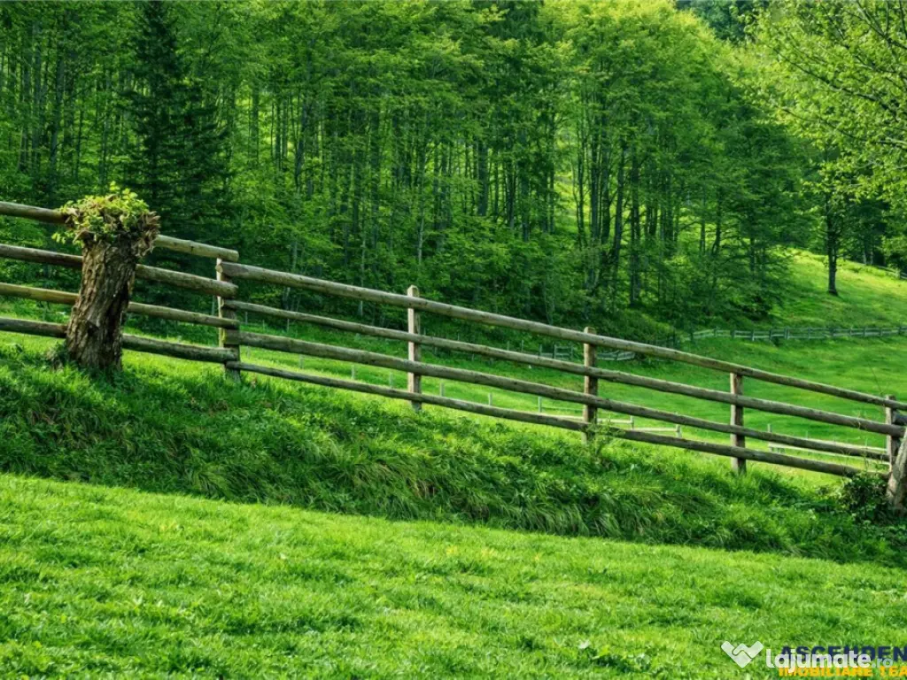 7.000 mp, pozitie spectaculoasa, fara vecini, Fundatica, Bra 