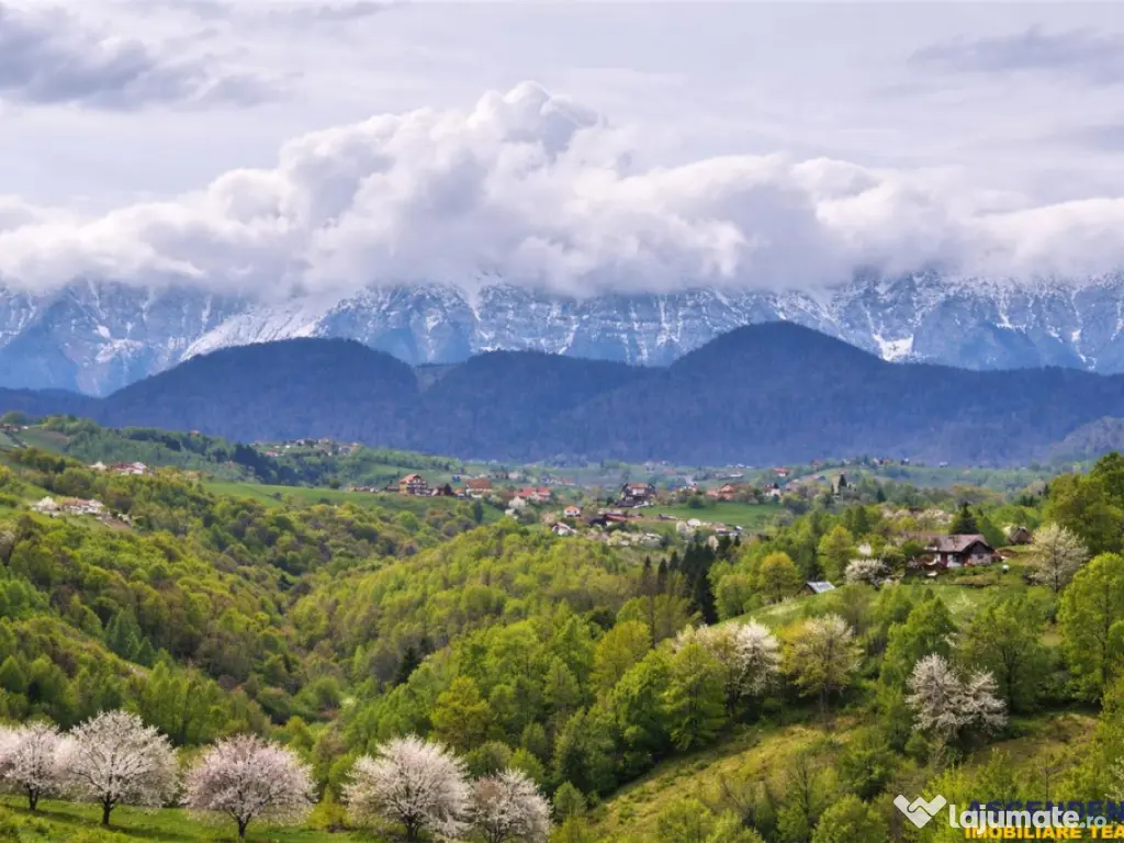 7.000 mp, pozitie spectaculoasa, fara vecini, Fundatica, Bra 