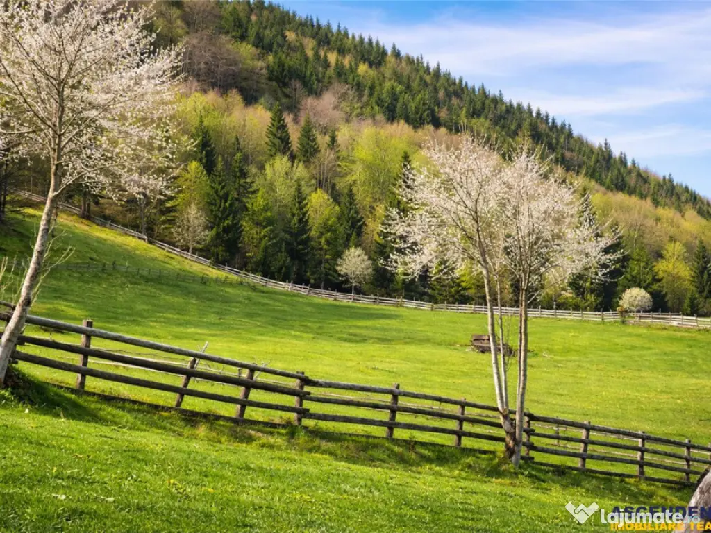 7.000 mp, pozitie spectaculoasa, fara vecini, Fundatica, Bra 