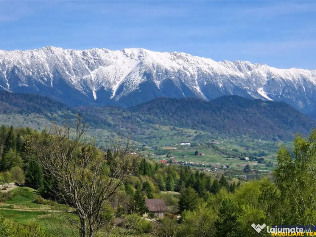 7.000 mp, pozitie spectaculoasa, fara vecini, Fundatica, Bra 