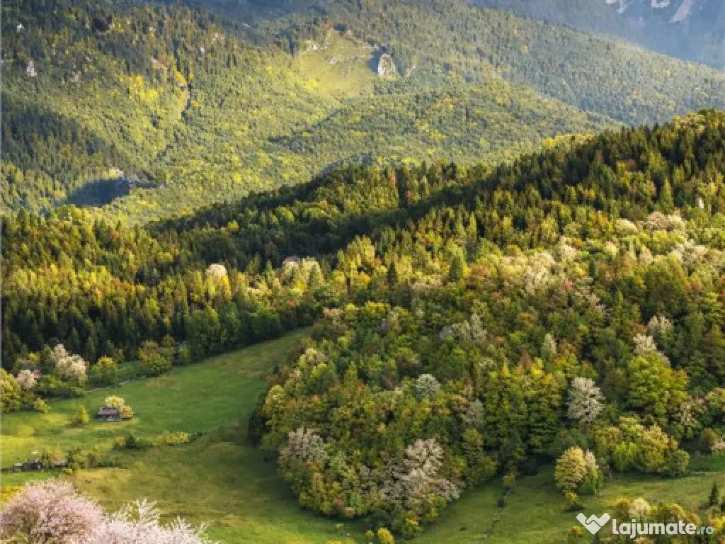 7.000 mp, pozitie spectaculoasa, fara vecini, Fundatica, Bra 