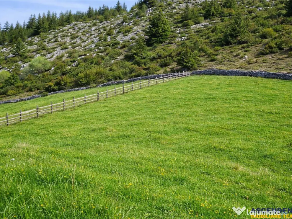 7.000 mp, pozitie spectaculoasa, fara vecini, Fundatica, Bra 