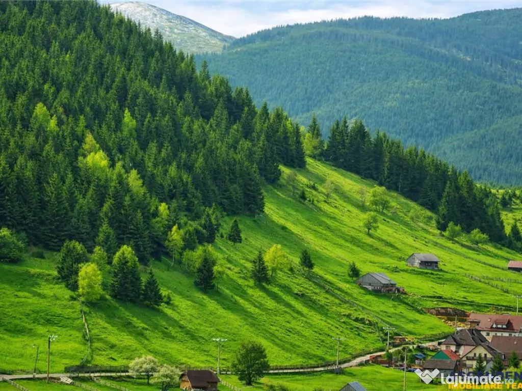 7.000 mp, pozitie spectaculoasa, fara vecini, Fundatica, Bra 