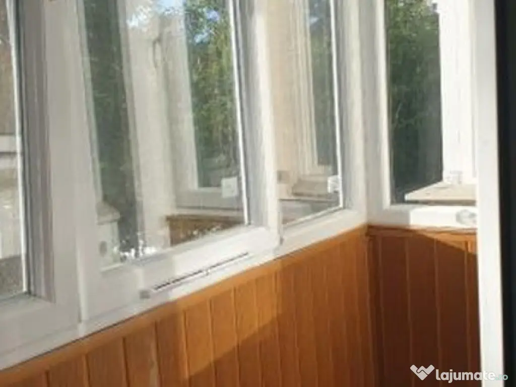 Dristor mihai bravu stradal clasica 