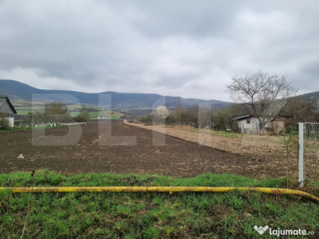 Teren intravilan, 1,6 hectare, acces drum, utilități compl