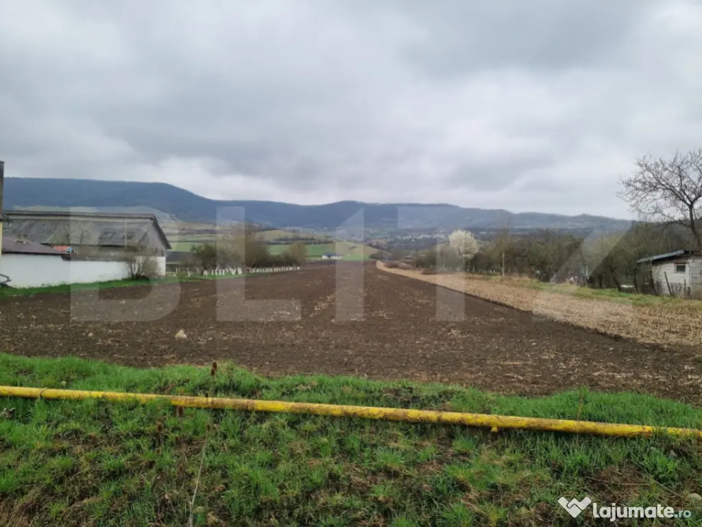 Teren intravilan, 1,6 hectare, acces drum, utilități compl