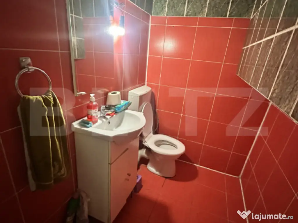 Apartament de locuit + atelier auto + terasa și curte gener 