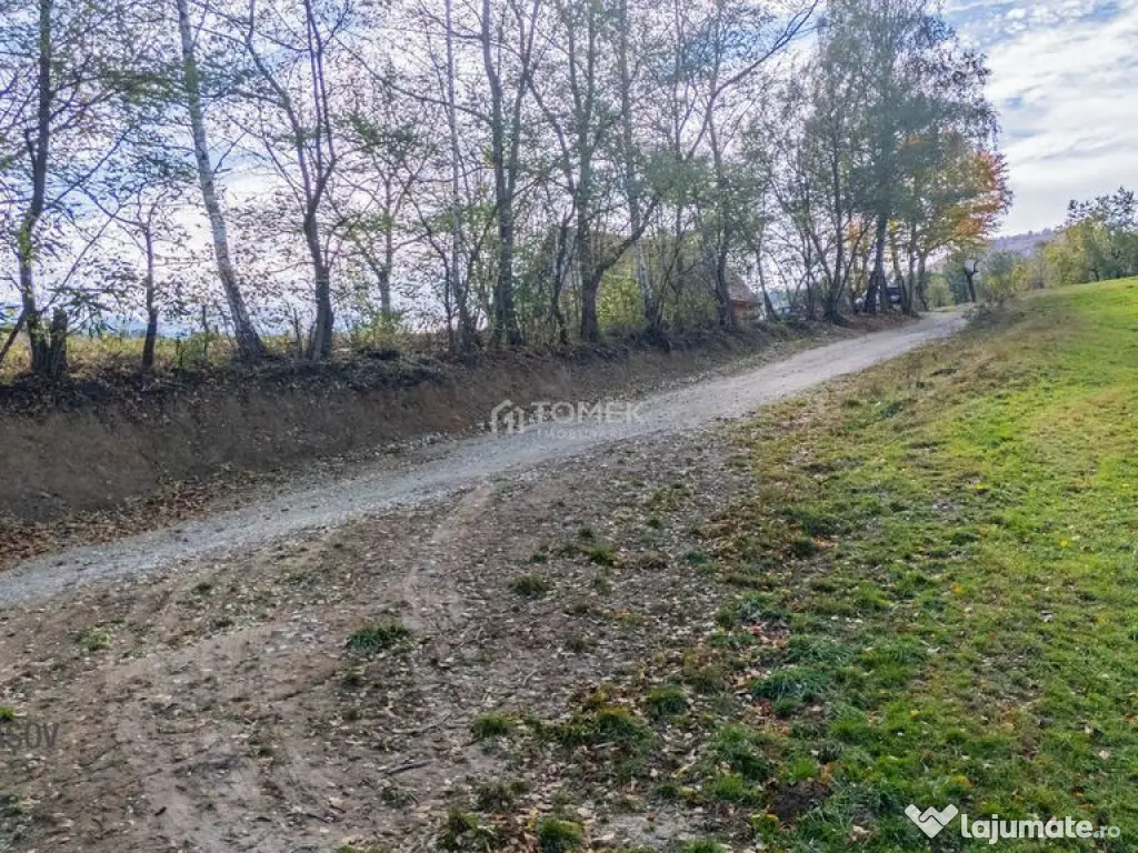 Teren intravilan în Zărnești, zona Tohanita, cu pădur... 