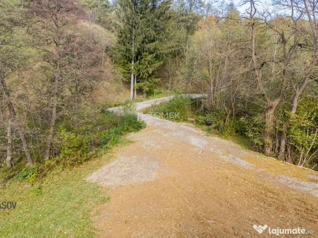 Teren intravilan în Zărnești, zona Tohanita, cu pădur... 