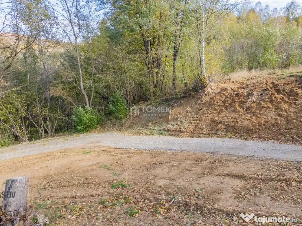 Teren intravilan în Zărnești, zona Tohanita, cu pădur... 