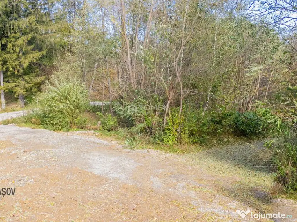 Teren intravilan în Zărnești, zona Tohanita, cu pădur... 