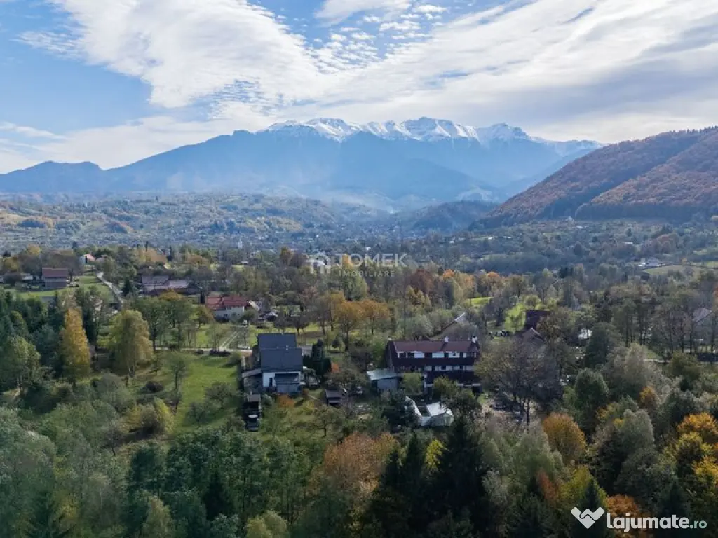 Teren intravilan în Zărnești, zona Tohanita, cu pădur... 