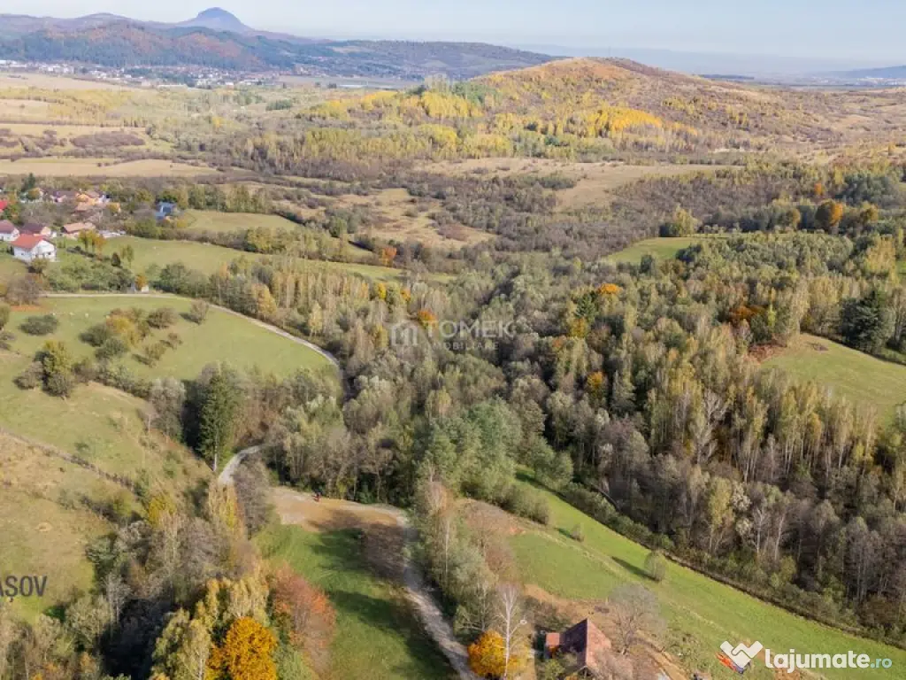 Teren intravilan în Zărnești, zona Tohanita, cu pădur... 