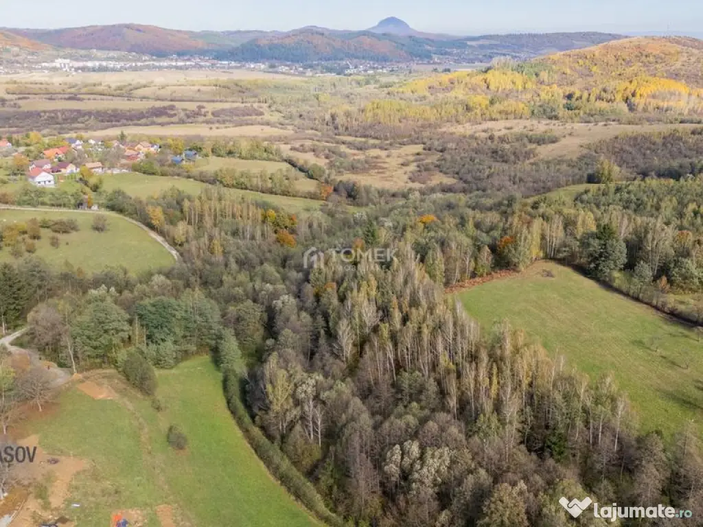 Teren intravilan în Zărnești, zona Tohanita, cu pădur... 
