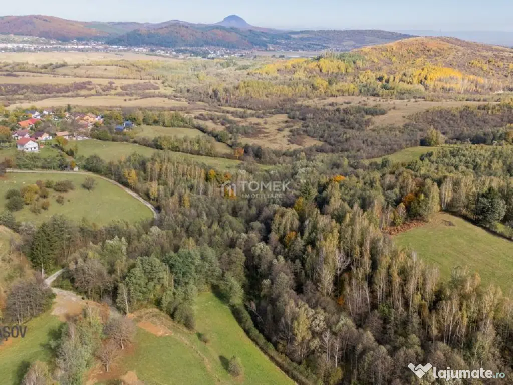 Teren intravilan în Zărnești, zona Tohanita, cu pădur... 