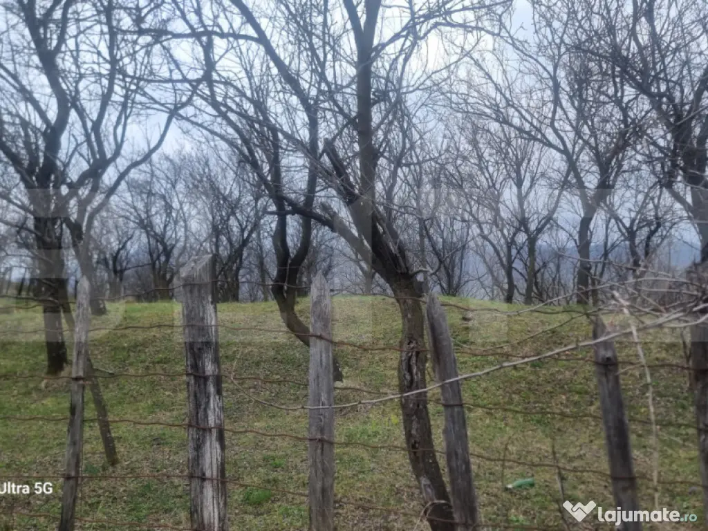 TEREN INTRAVILAN VEDERE PANORAMICA La 2 km de Manastirea CRA 
