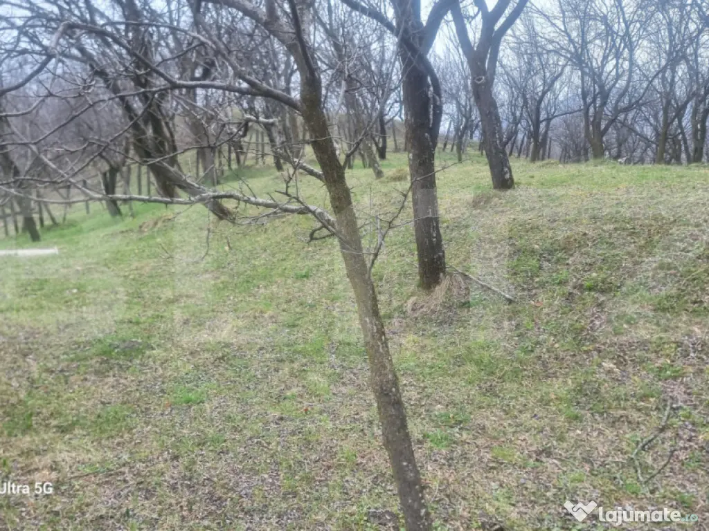 TEREN INTRAVILAN VEDERE PANORAMICA La 2 km de Manastirea CRA 
