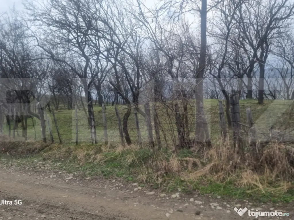 TEREN INTRAVILAN VEDERE PANORAMICA La 2 km de Manastirea CRA 