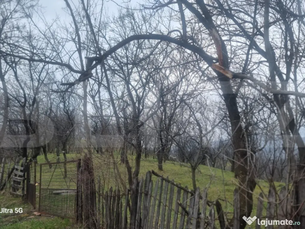 TEREN INTRAVILAN VEDERE PANORAMICA La 2 km de Manastirea CRA 