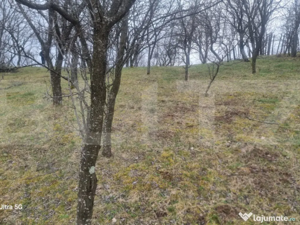 TEREN INTRAVILAN VEDERE PANORAMICA La 2 km de Manastirea CRA 