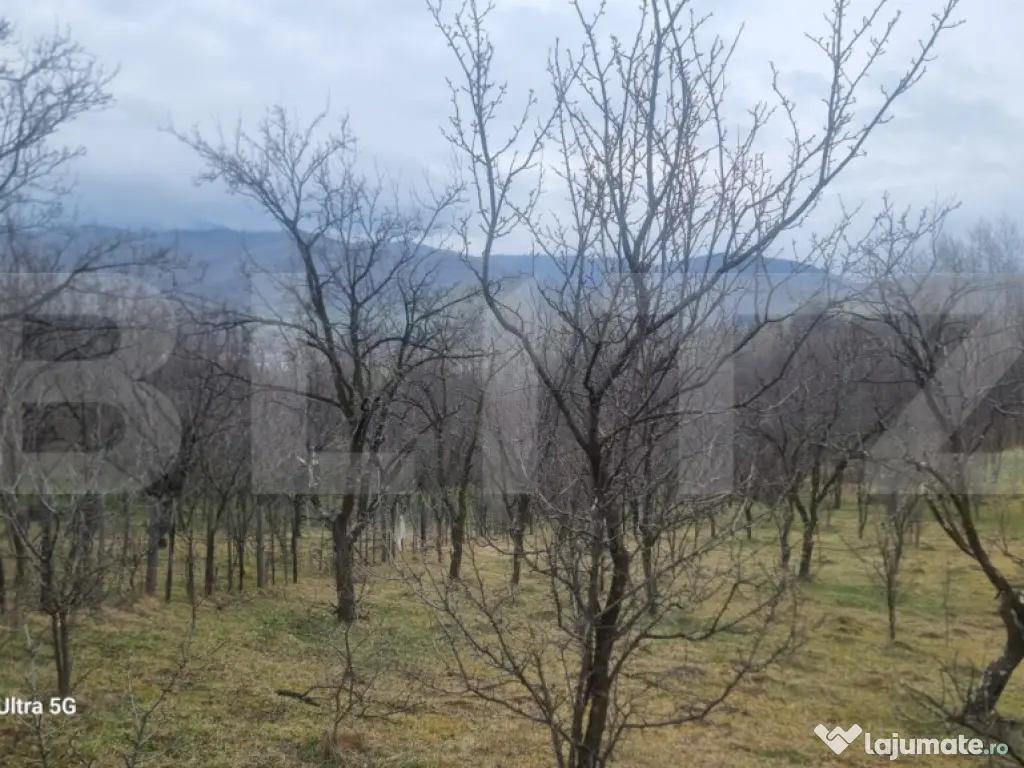TEREN INTRAVILAN VEDERE PANORAMICA La 2 km de Manastirea CRA 
