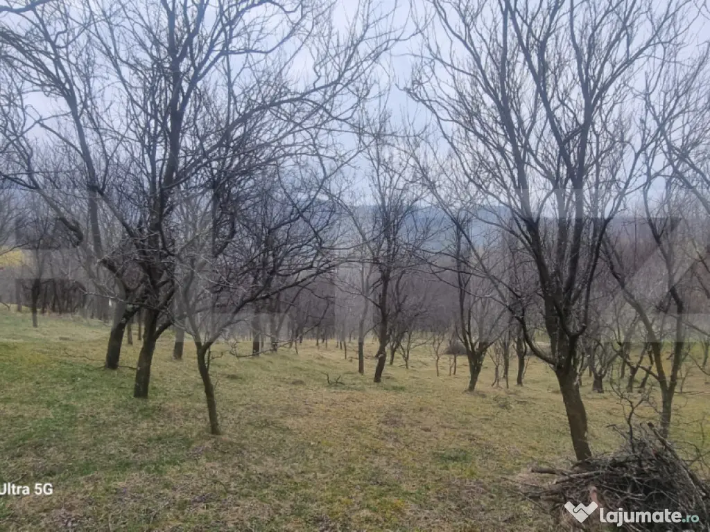 TEREN INTRAVILAN VEDERE PANORAMICA La 2 km de Manastirea CRA 
