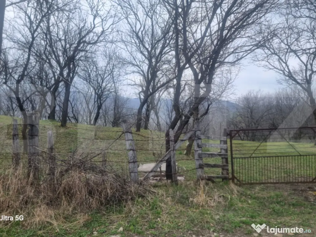 TEREN INTRAVILAN VEDERE PANORAMICA La 2 km de Manastirea CRA 