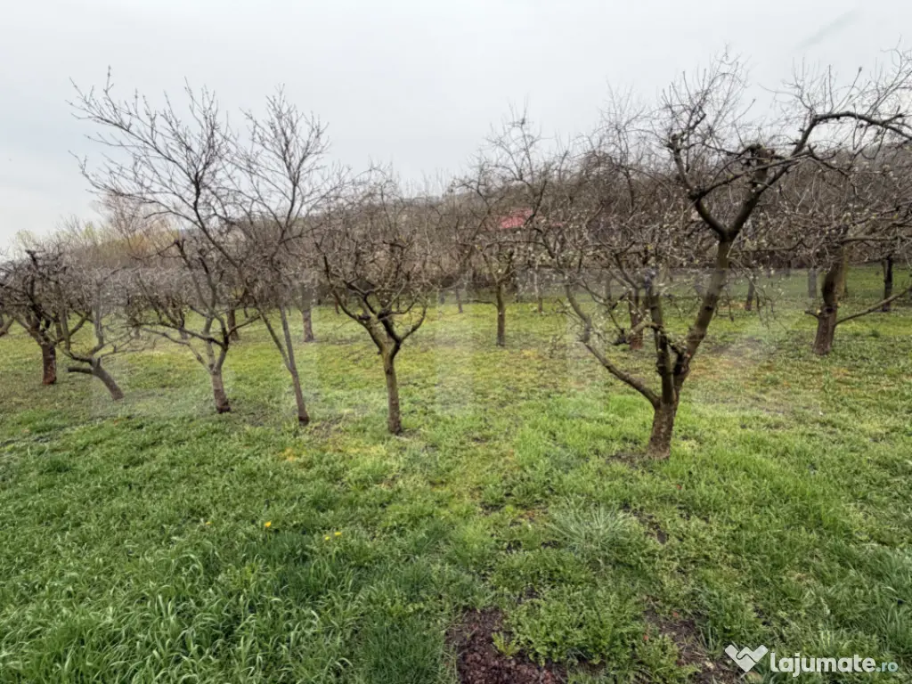 Casă cu 2 camere și un teren de 1000 mp 