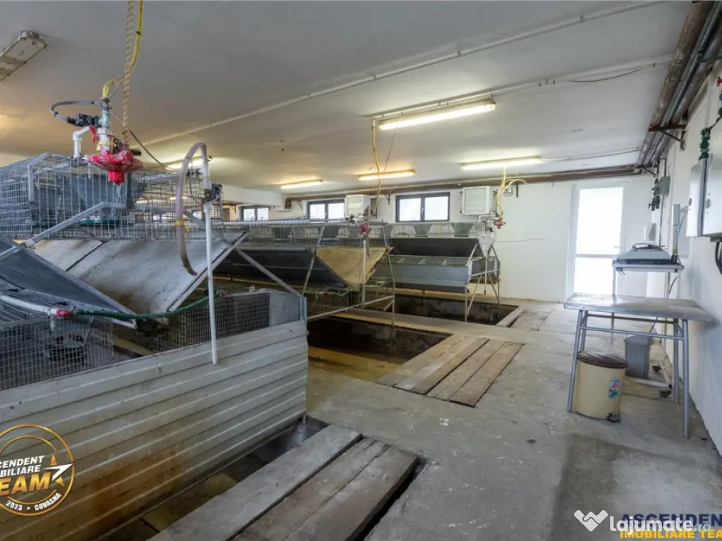 FILM! Ferma de iepuri,Malnas,Covasna: domeniu:comercial indu 