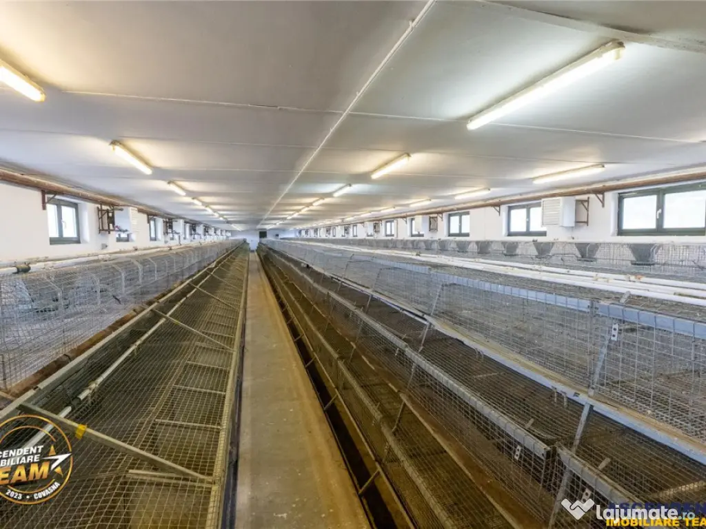 FILM! Ferma de iepuri,Malnas,Covasna: domeniu:comercial indu 