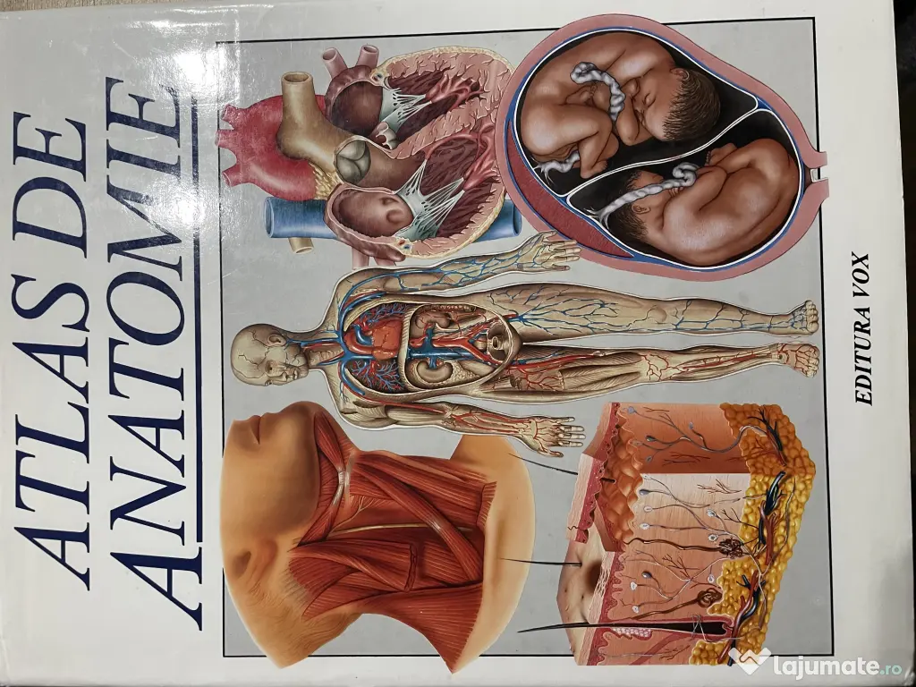 Atlas medical anatomie 