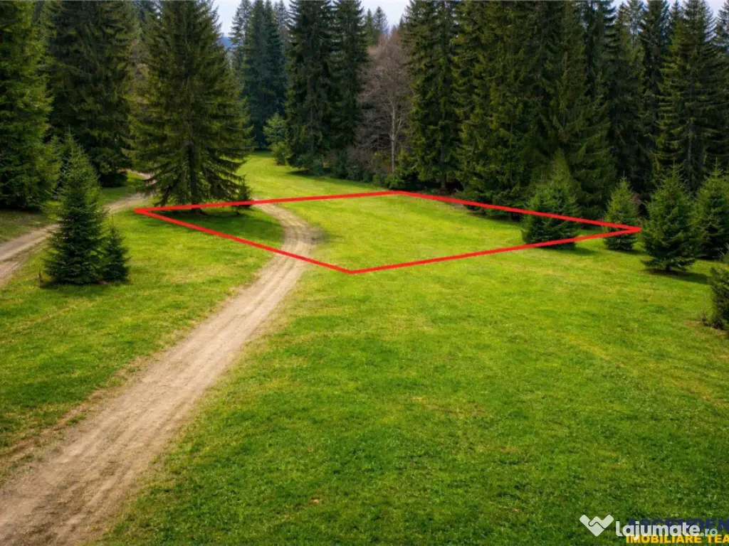 FILM! 1.000 mp,PUZ,regim P 2 M,destinatii turistice rezident