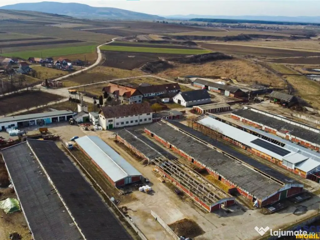 FILM! Complex agrozootehnic cu traditie, echipat,pretios pot