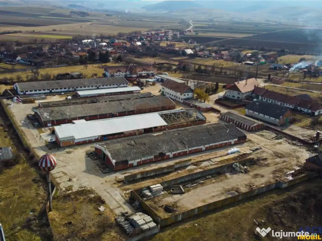 FILM! Complex agrozootehnic cu traditie, echipat,pretios pot