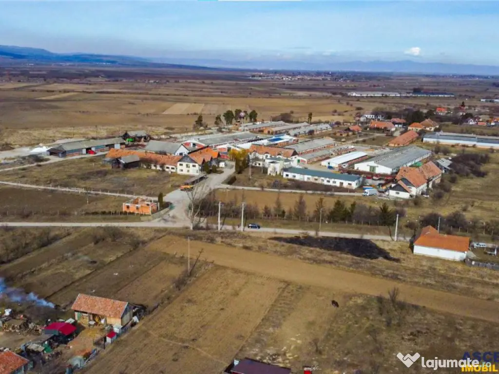 FILM! Complex agrozootehnic cu traditie, echipat,pretios pot