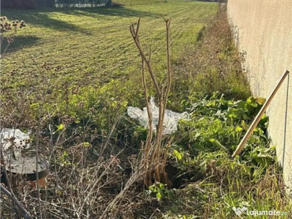 Stupini: Teren 3600mp, Front 16.5m la Asfalt, Utilitati 