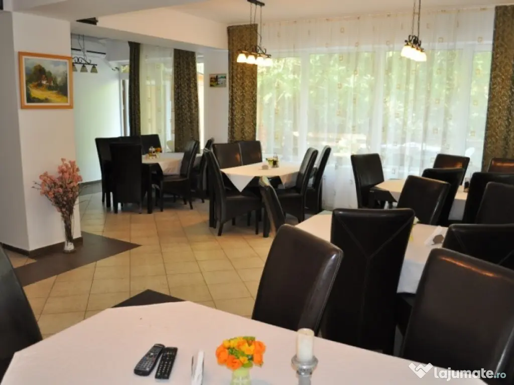 Pensiune 8 camere in Moneasa - ID : RH-10187-property 