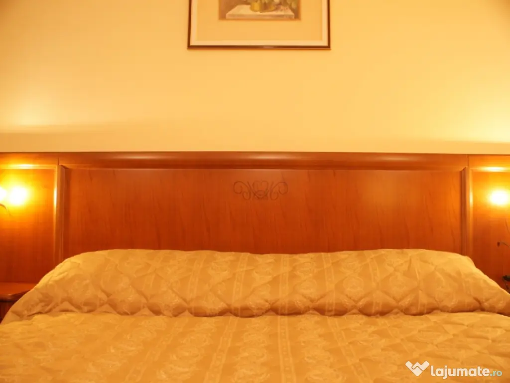 Hotel Ultracentral , SC 4400 mp, D+P+3E, constr 2008, lux, piscina 