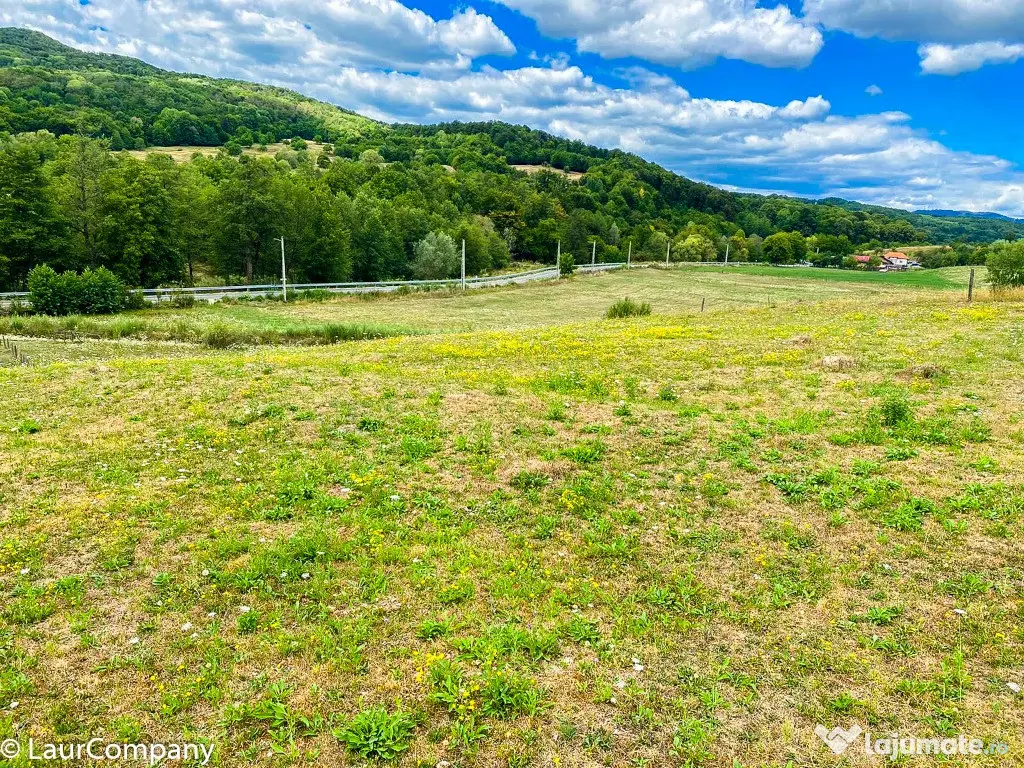 Teren Intravilan Mihaesti Arges. 