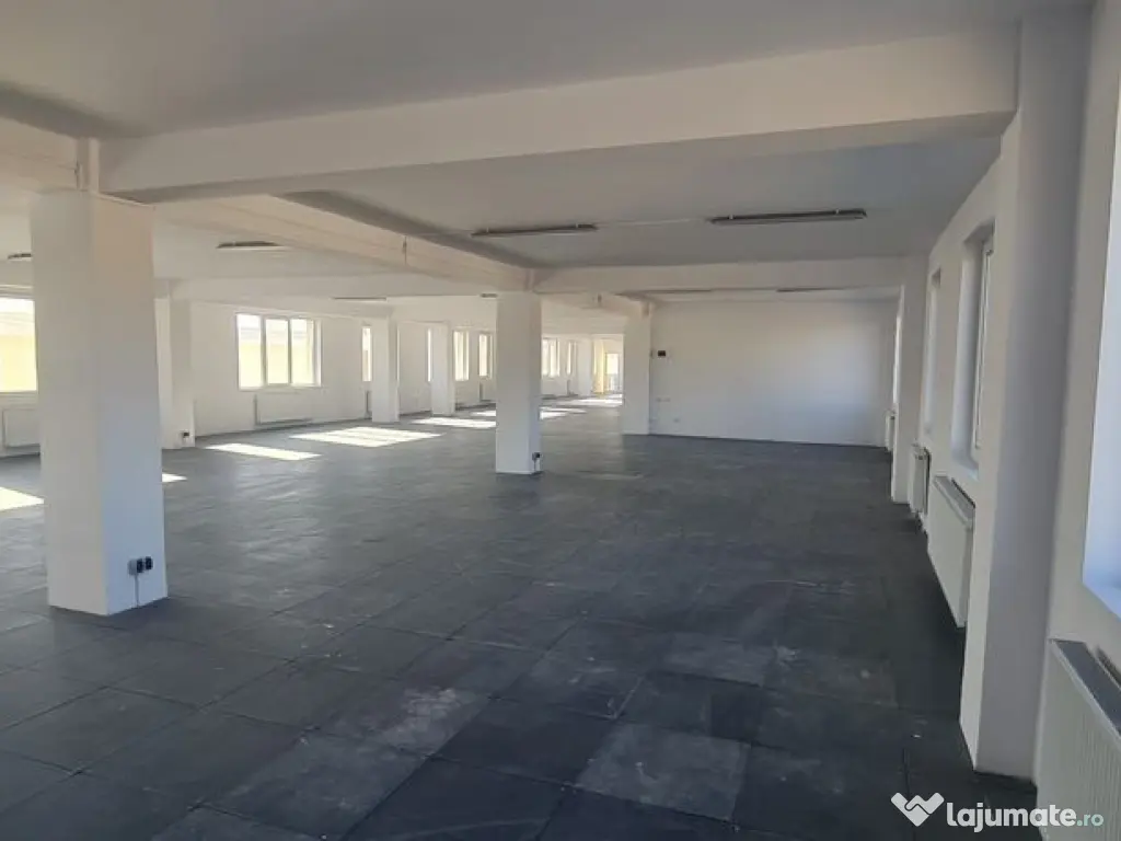 Constructie noua, hala si birouri Berceni, zona Progresul 